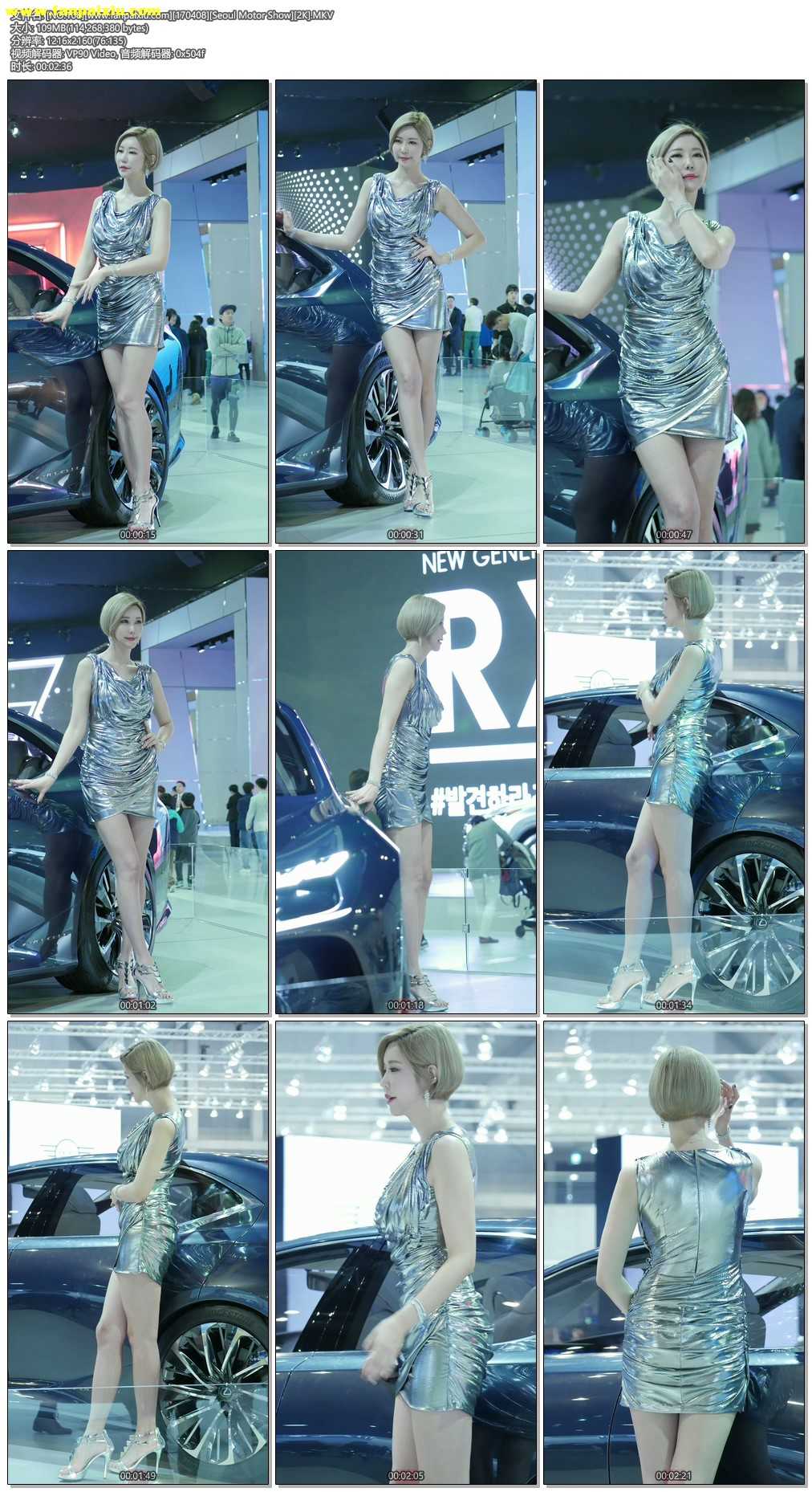 ģأɣ-FANCAM<strong><font color='red'>[5P]</font></strong>[.108][170401][Seoul Motor Show][2K]Ůŷ(5)