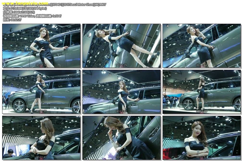 ģأɣ-FANCAM<strong><font color='red'>[5P]</font></strong>[.124][170401][2017Seoul Motor Show][4K]Ůŷ(5)