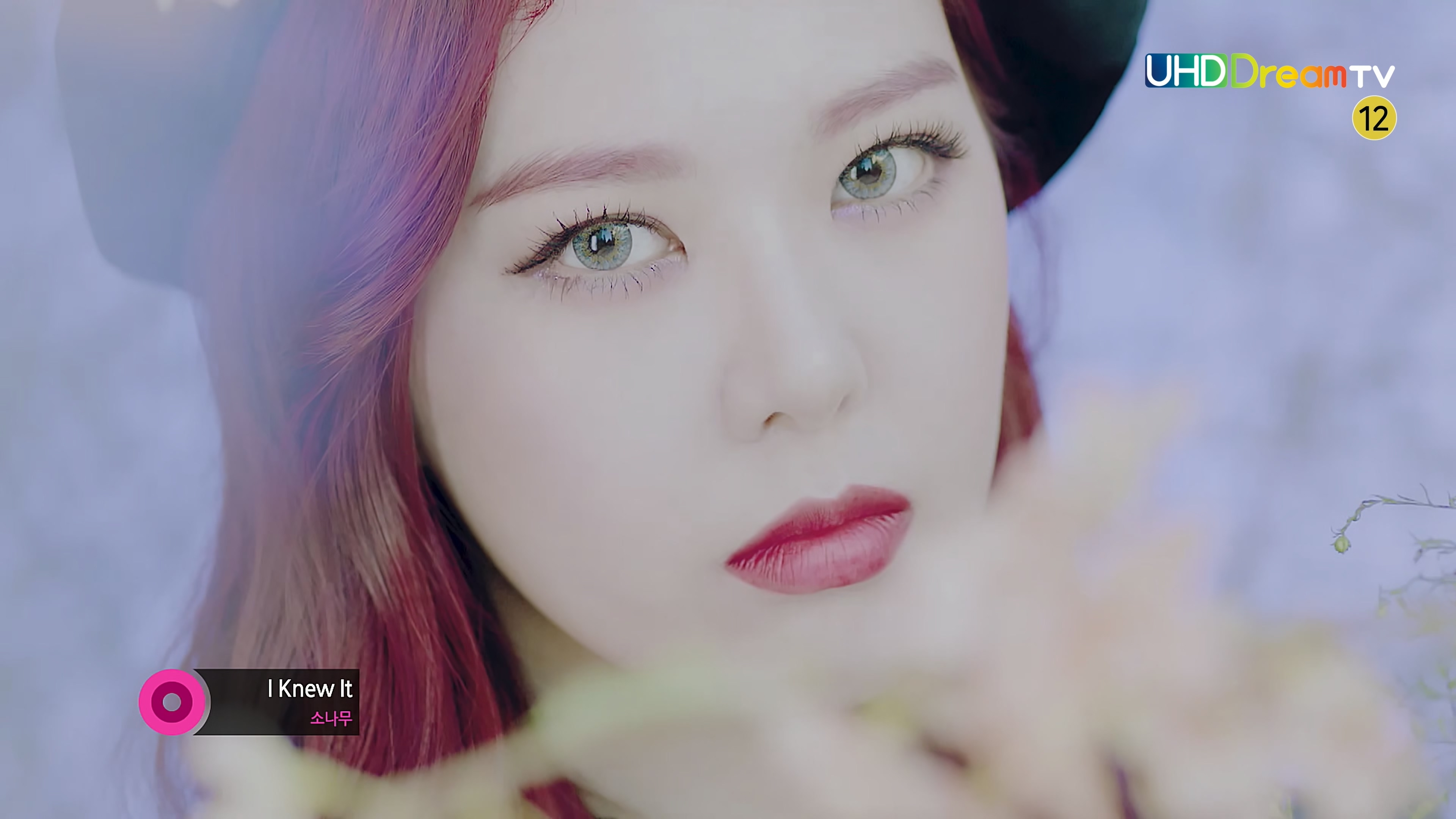 HDMV-FANCAM<strong><font color='red'>[2P]</font></strong>5.Sonamoo.I Knew It.4K.TS.912MŮŷ(1)