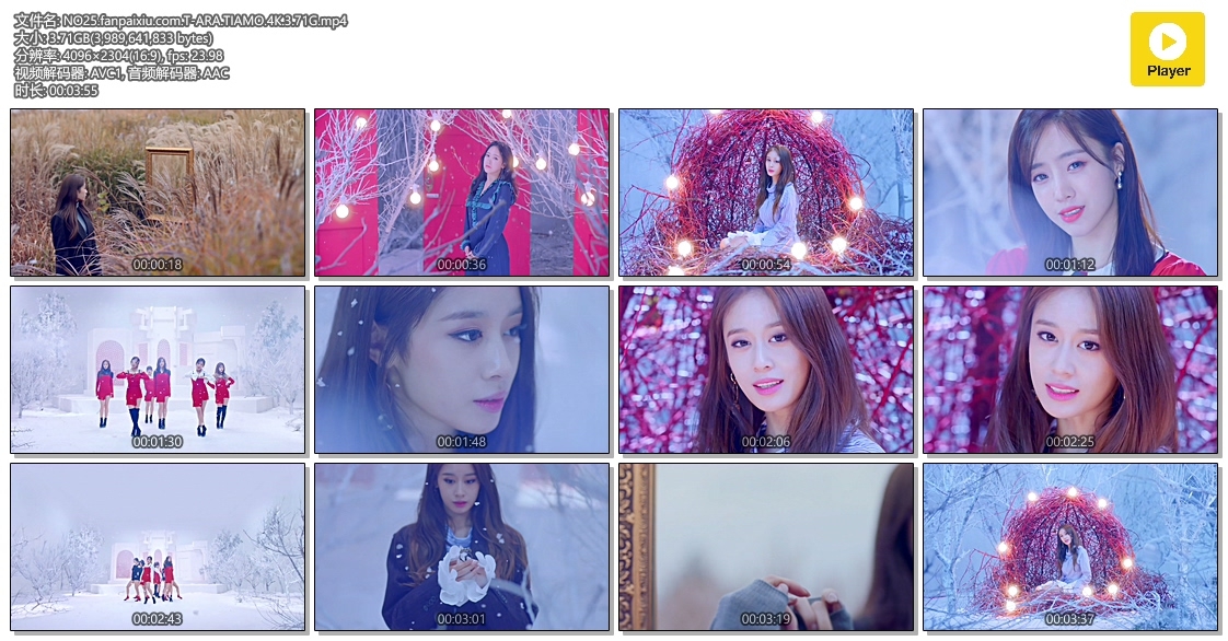 HDMV-FANCAM<strong><font color='red'>[2P]</font></strong>25.T-ARA.TIAMO.4K.3.71GŮŷ(2)